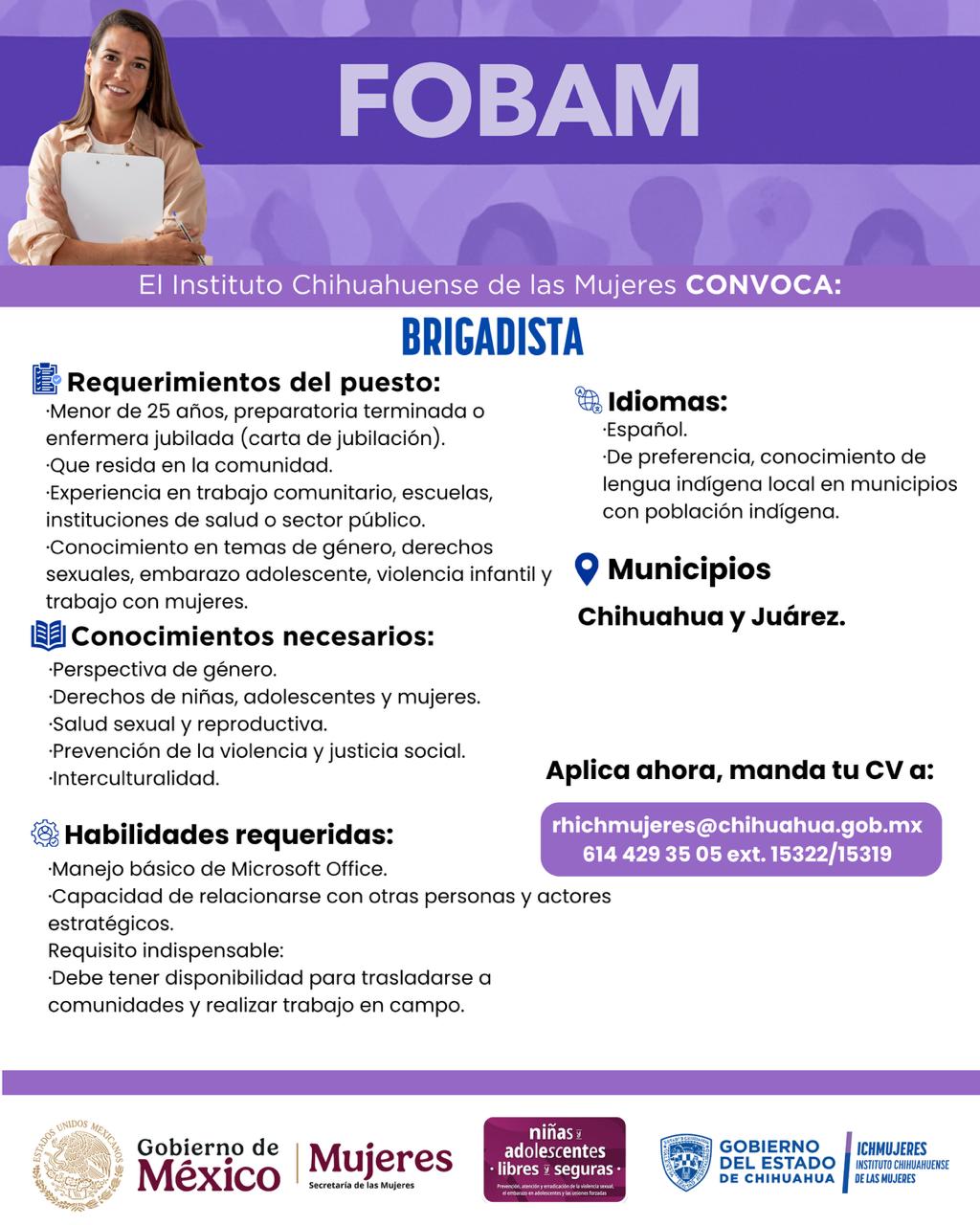 Brigadista